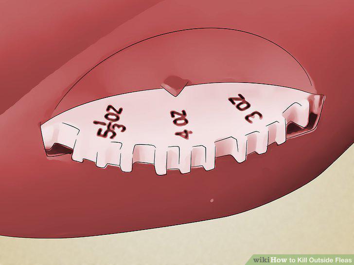 Step 7
