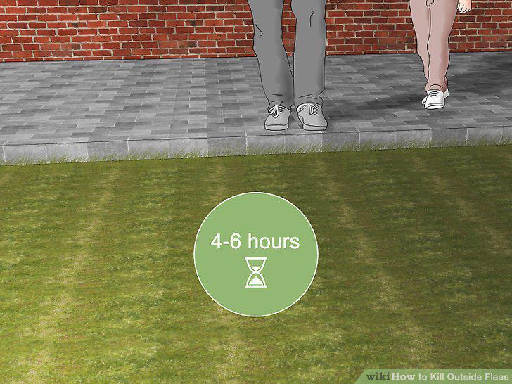 Step 9