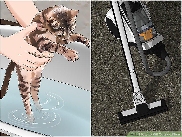 Step 10