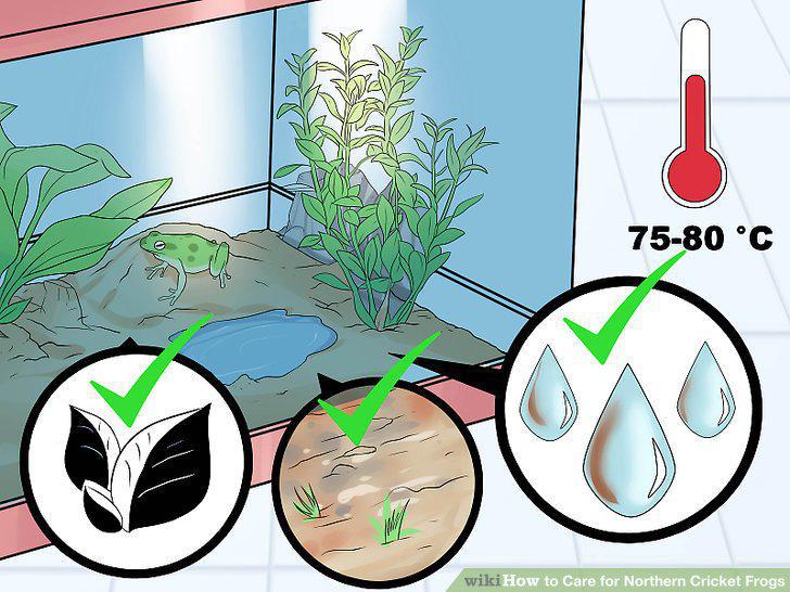 Step 11