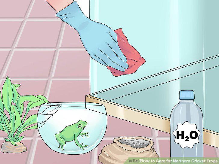 Step 13
