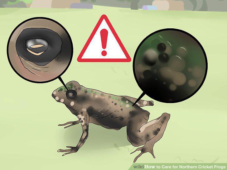 Step 14