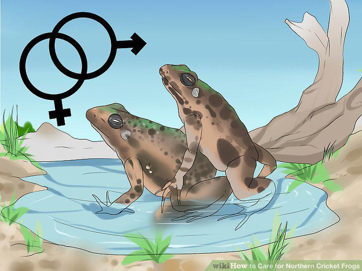 Step 15