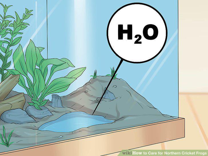 Step 5