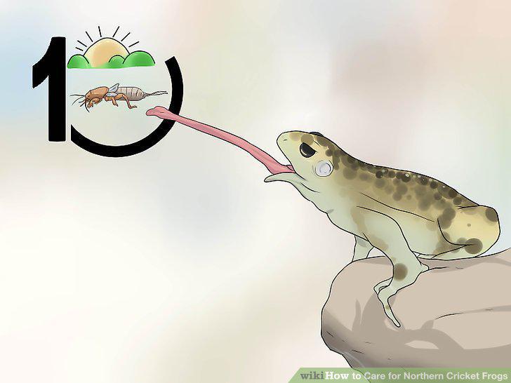 Step 9
