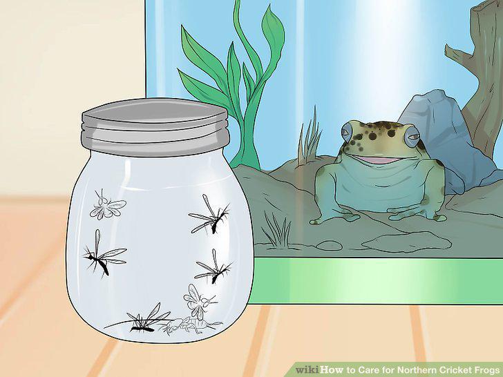 Step 10