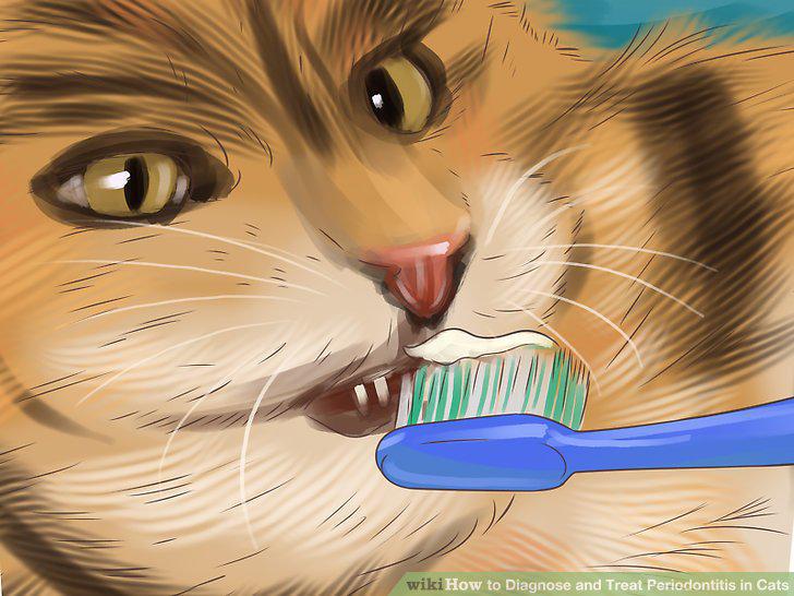 Step 11