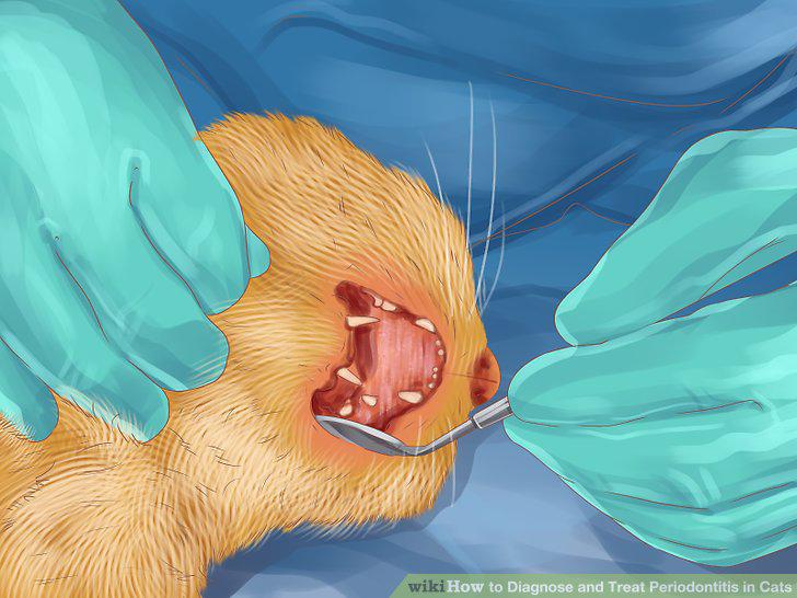 Step 13