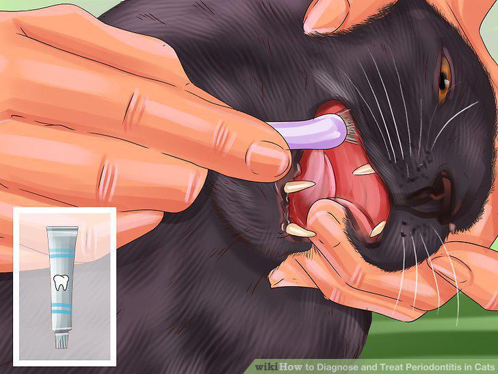 Step 7