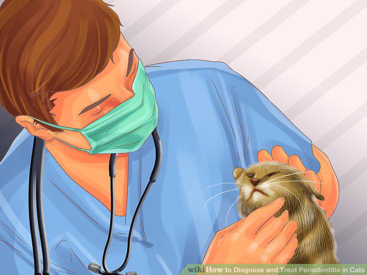 Step 10