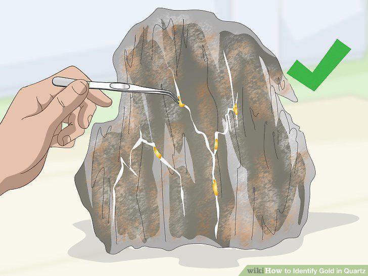 Step 12