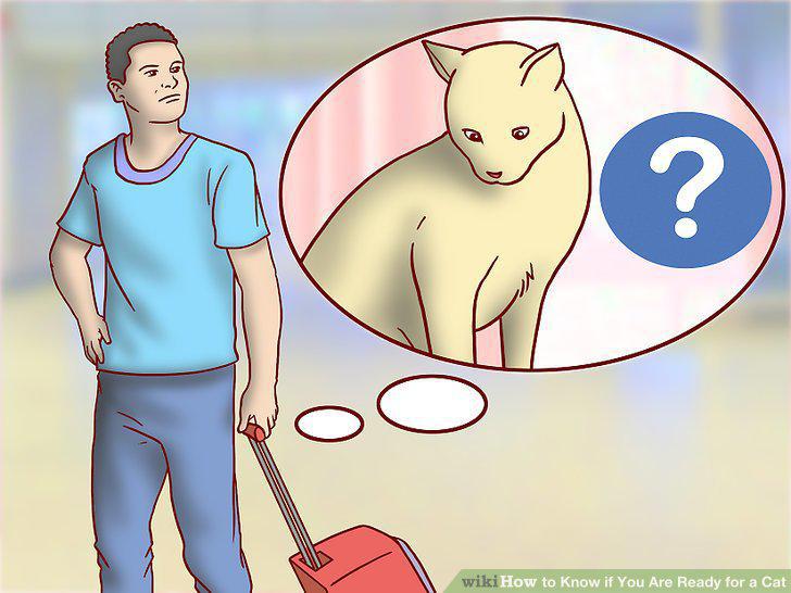 Step 11