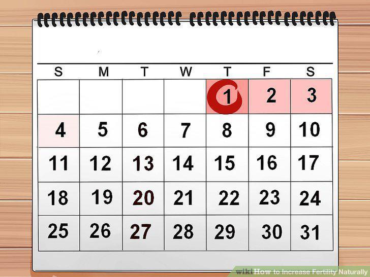 Step 14