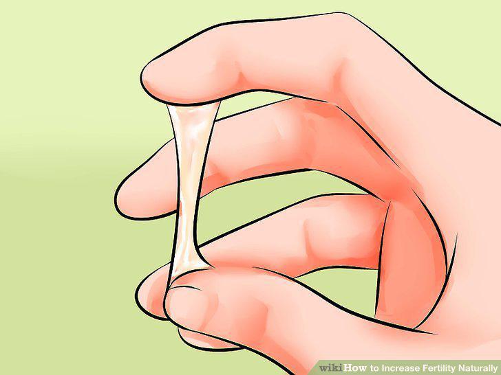 Step 15