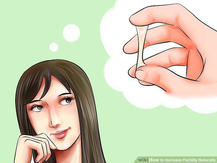 Step 16