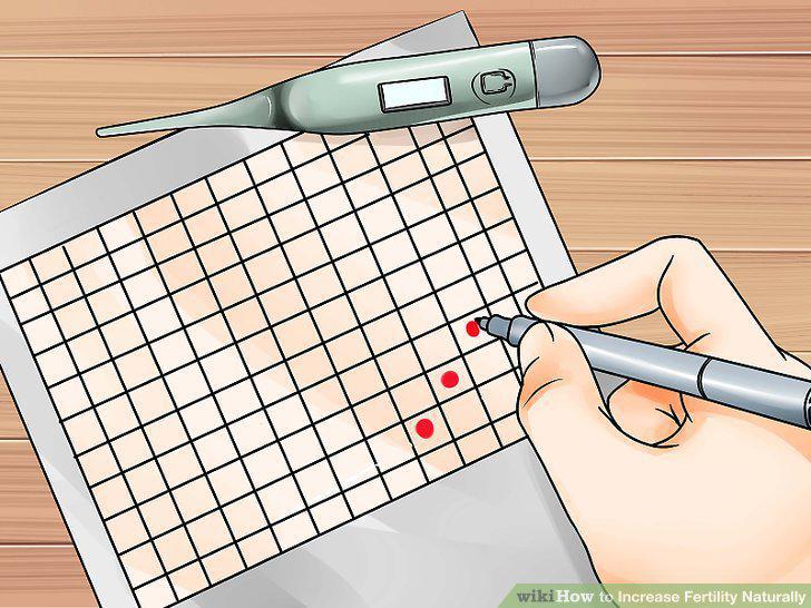 Step 17