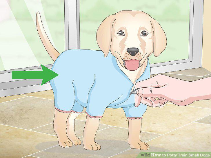 Step 11