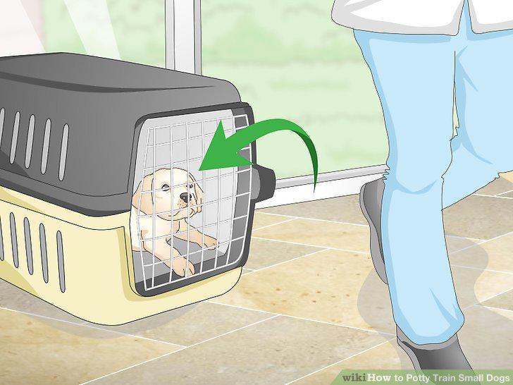 Step 13