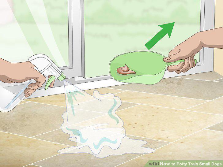 Step 8