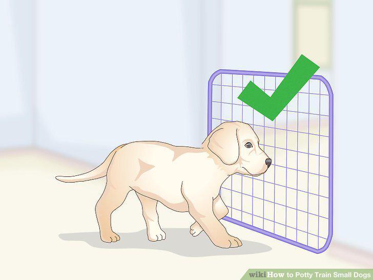 Step 10
