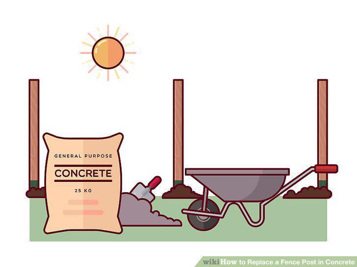 Step 11