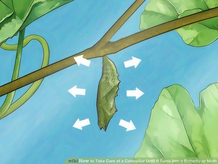 Step 14