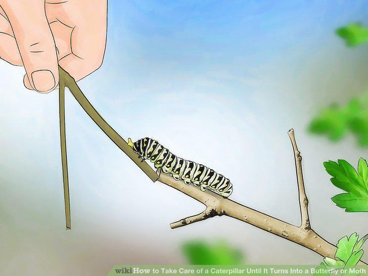 Step 6