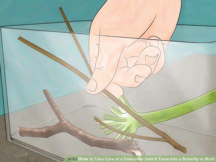 Step 8