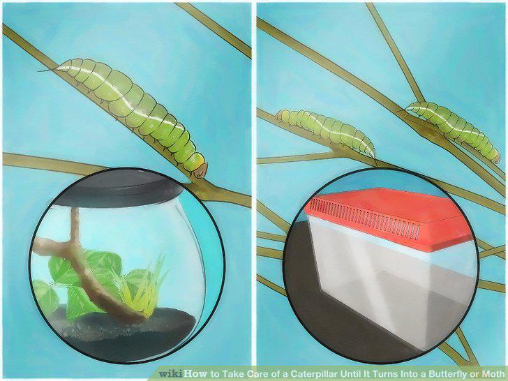 Step 10