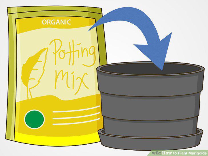 Step 11