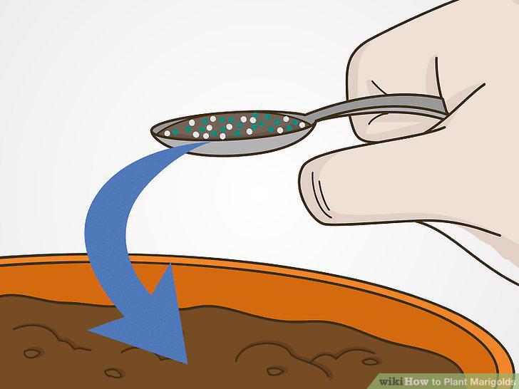 Step 13