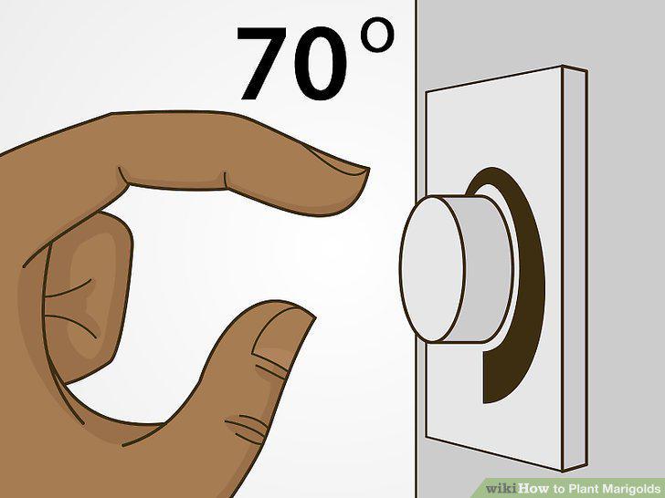 Step 14
