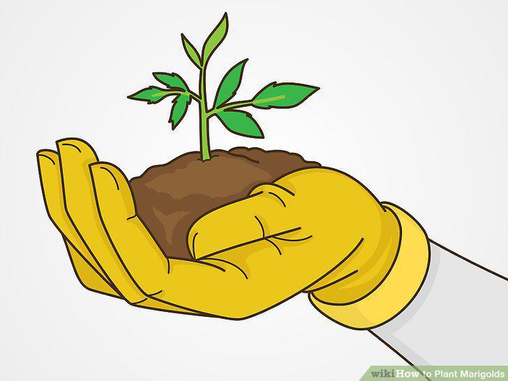 Step 17