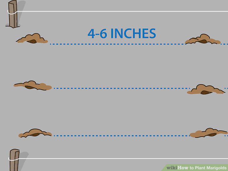 Step 21