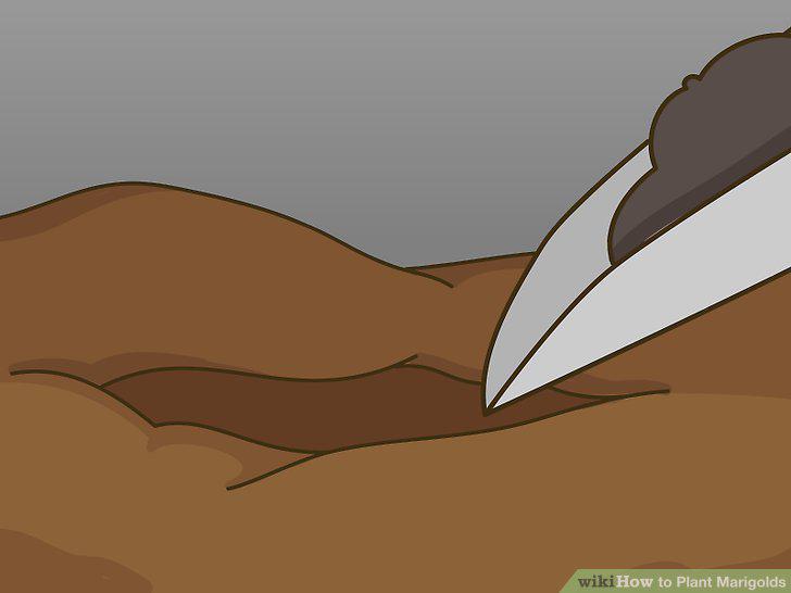 Step 4