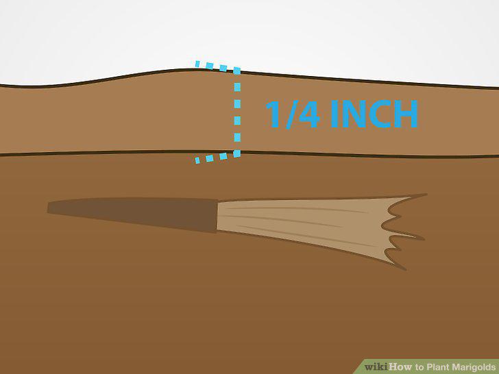 Step 8