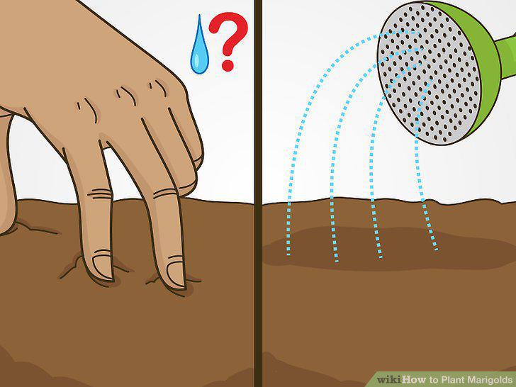 Step 9