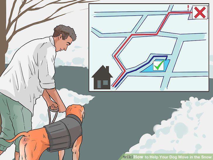 Step 11