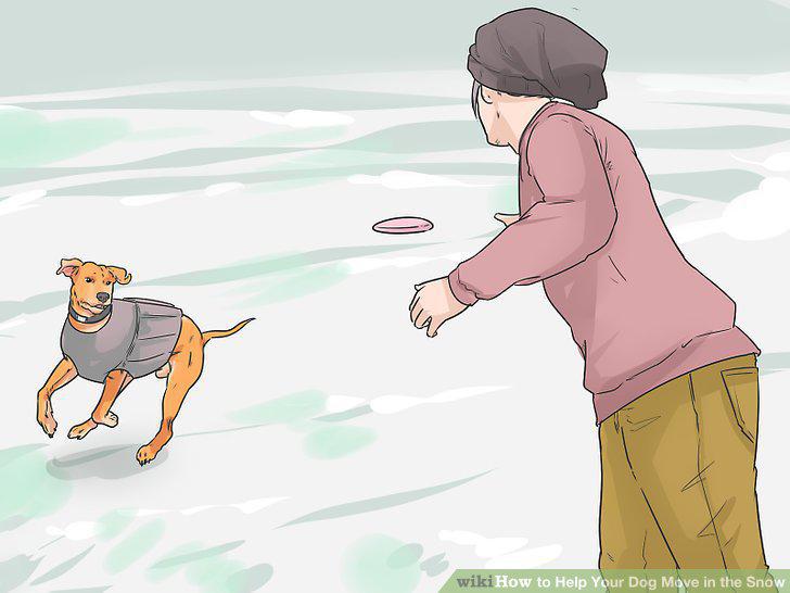 Step 12