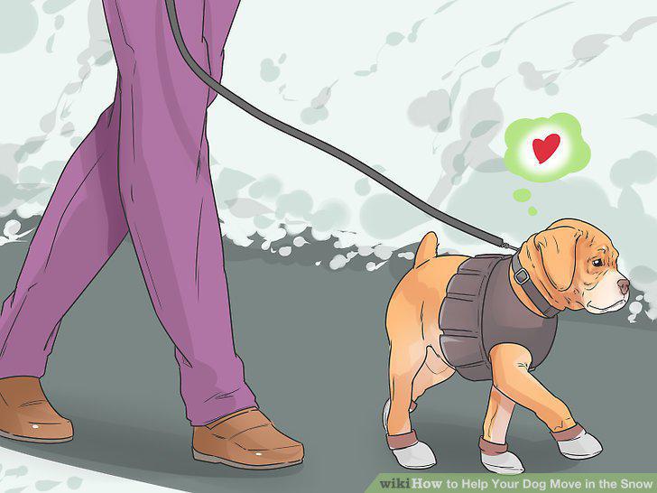 Step 10