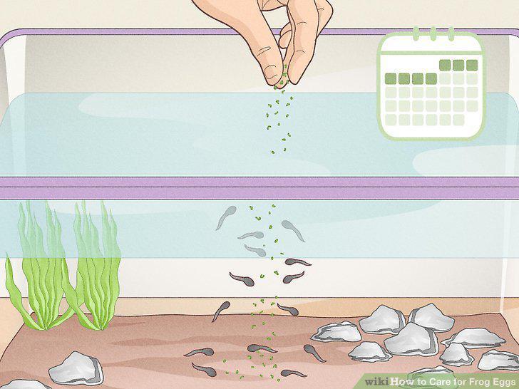 Step 11