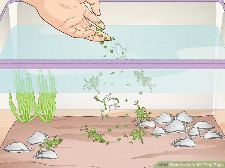 Step 13