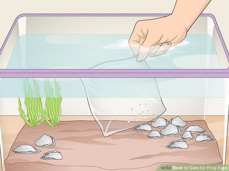 Step 7