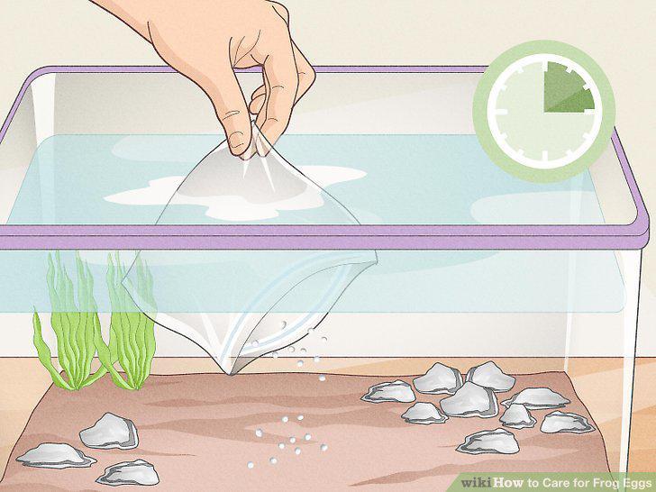 Step 8