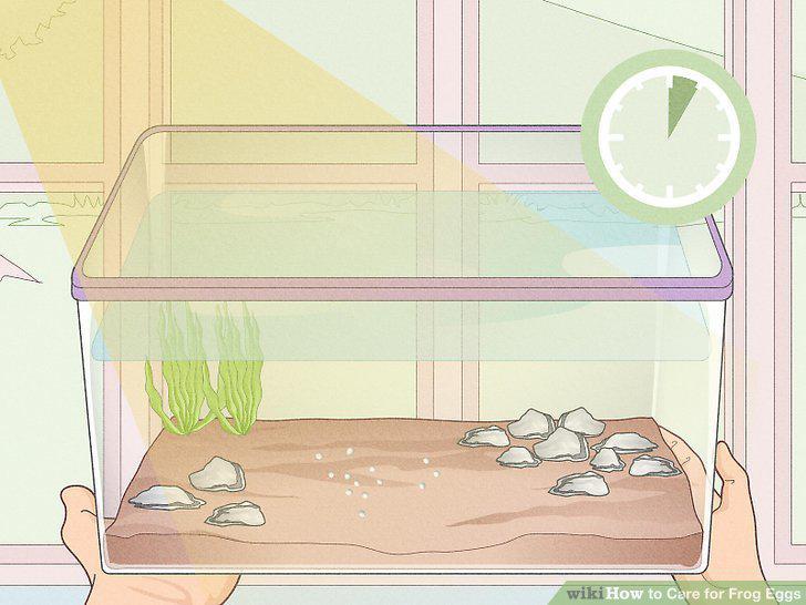 Step 9