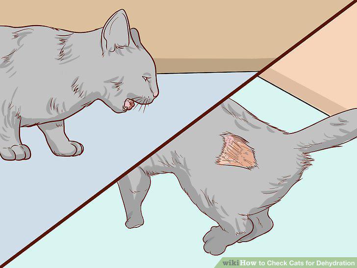 Step 11