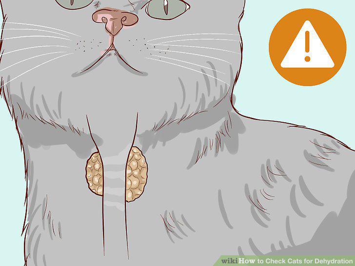 Step 12