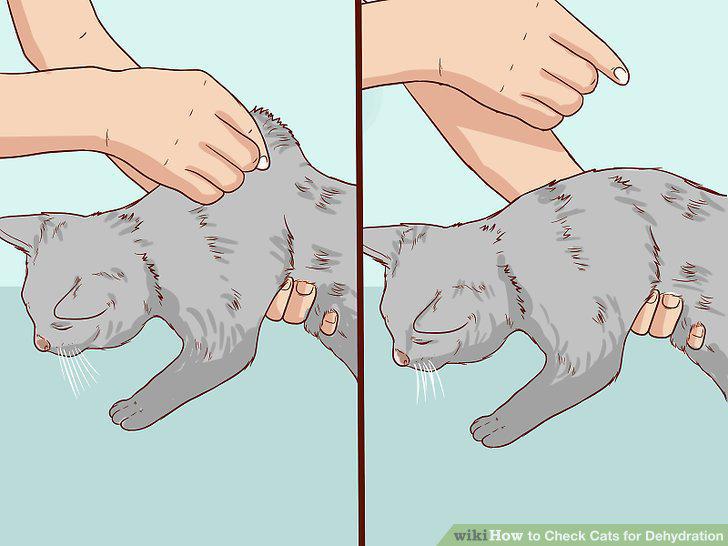 Step 5