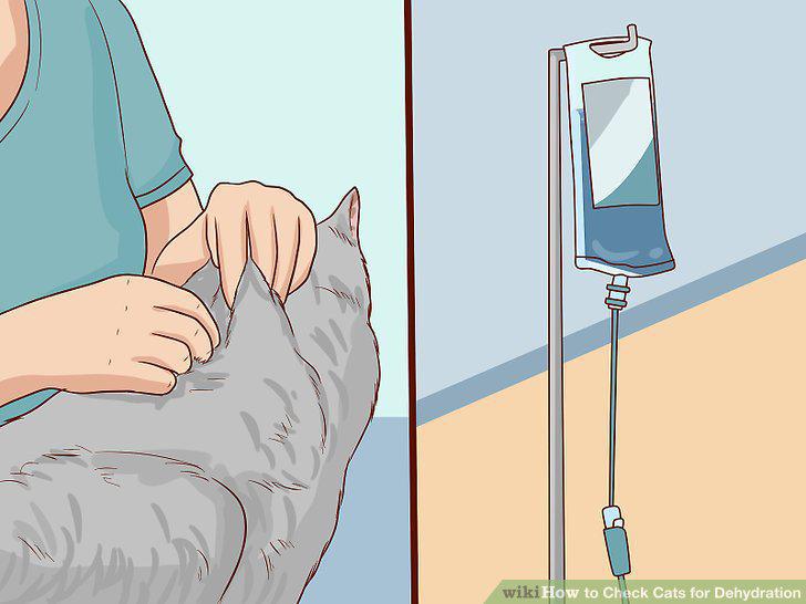 Step 10