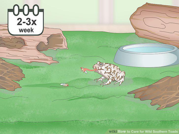 Step 11